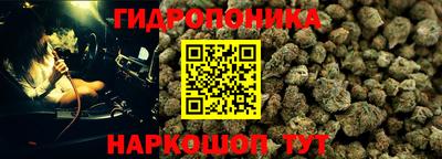 МДПВ Бийск