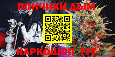 МДПВ Бийск