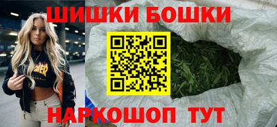 МДПВ Бийск
