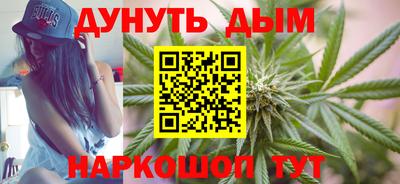 МДПВ Бийск