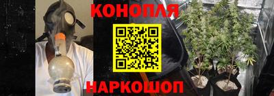 гидропоника Дмитров