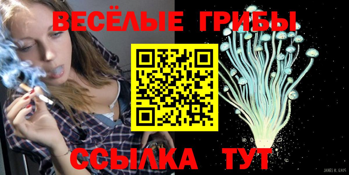 Псилоцибиновые грибы Psilocybine cubensis  Вход с VPN  Галлюциногенные грибы Psilocybine cubensis  Каменск-Шахтинский 