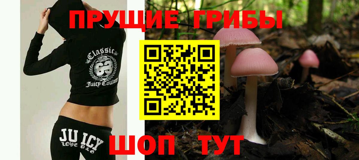 Галлюциногенные грибы MAGIC MUSHROOMS Каменск-Шахтинский